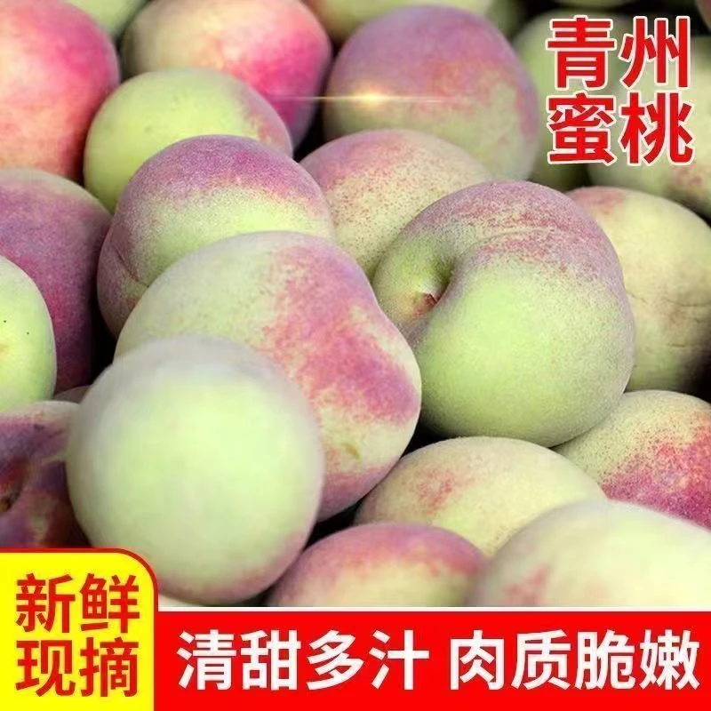 【顺丰包邮】正宗青州蜜桃小时候的味道脆甜多汁小山桃新鲜应季水果