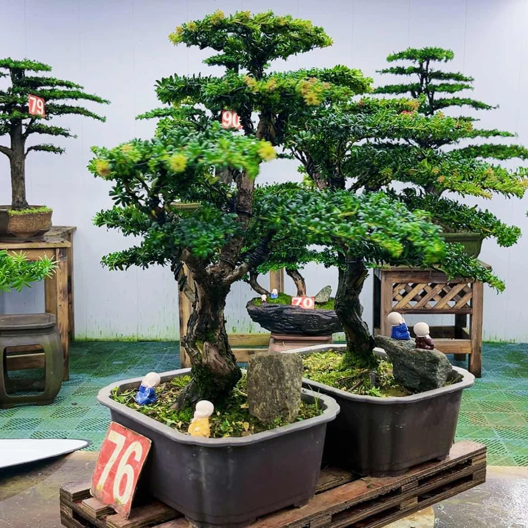 【闪购商品】无花朵穗****护
