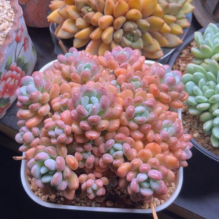 美好就是让大家知道