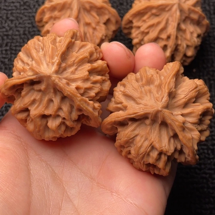 木质类秦岭精品文玩核桃5