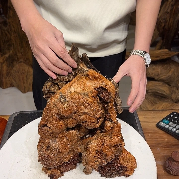 松木（琥珀木）王*和