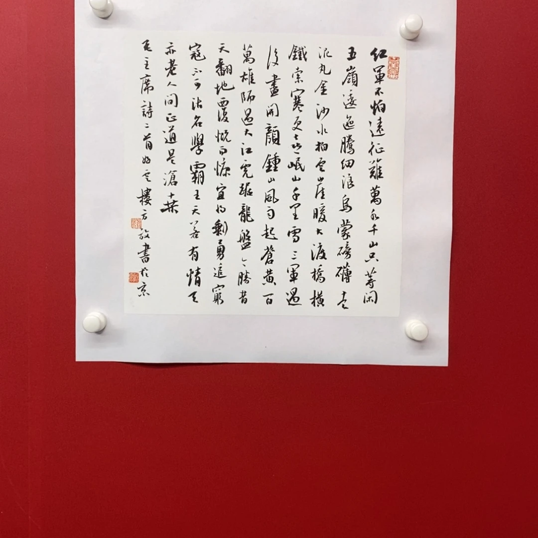 尚古202568965523555