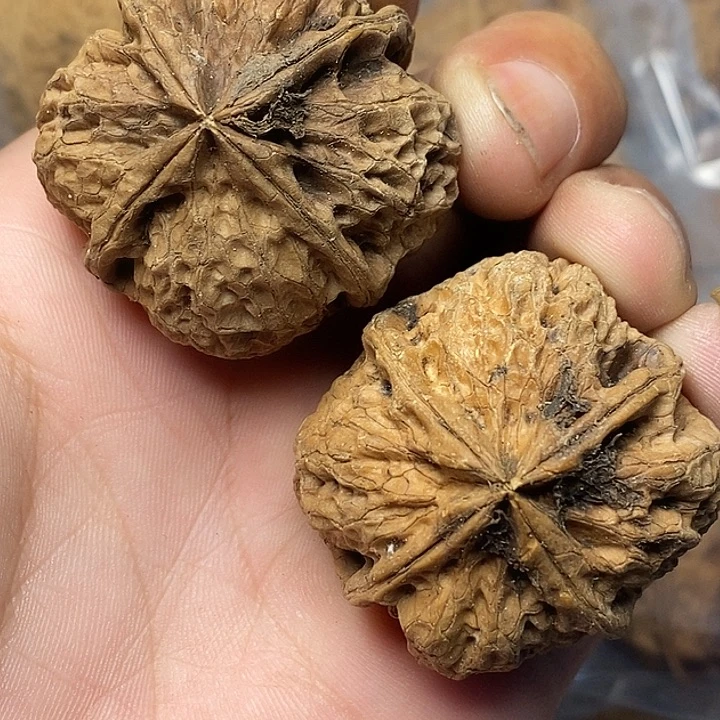 把件文玩核桃云南铁核桃7号38mm