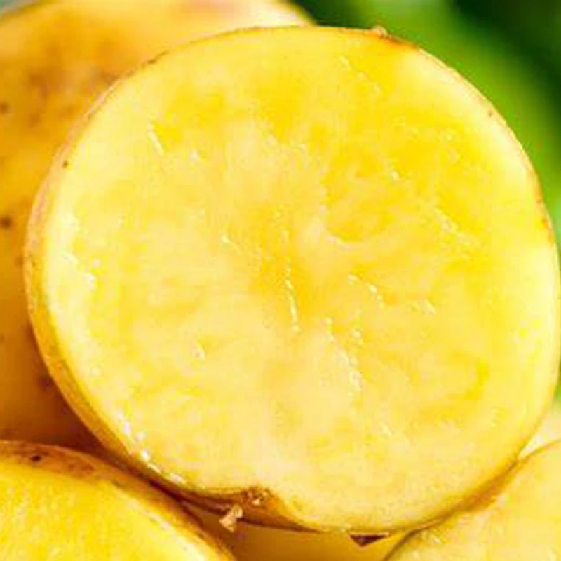 （马铃薯）土豆约200g/个