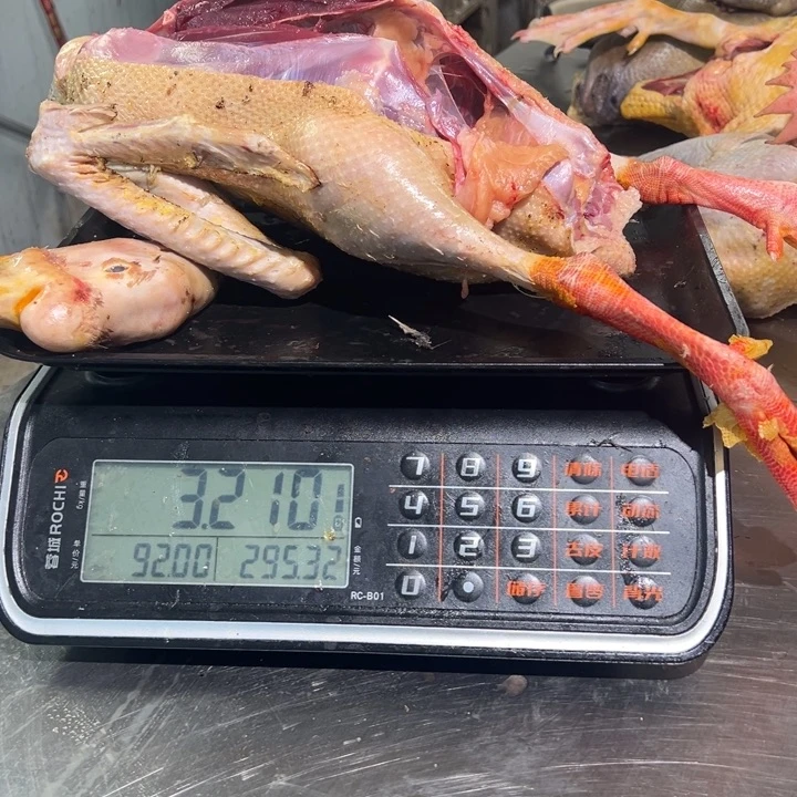 鹅食用农产品中国大陆K****i