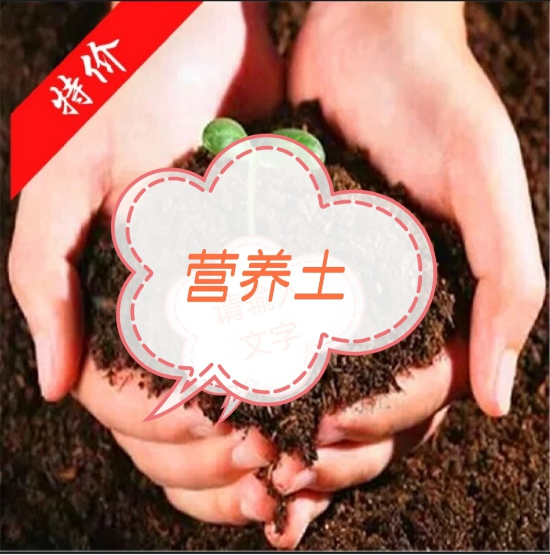 室内阳台种花种菜营养土好成活