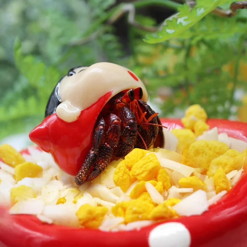 寄居蟹冻干粮零食～粮食主粮专用饲料高钙鱼虾干椰子片小分装