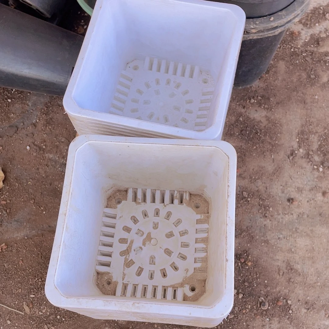 旧口径13.5 高10白方盆20个