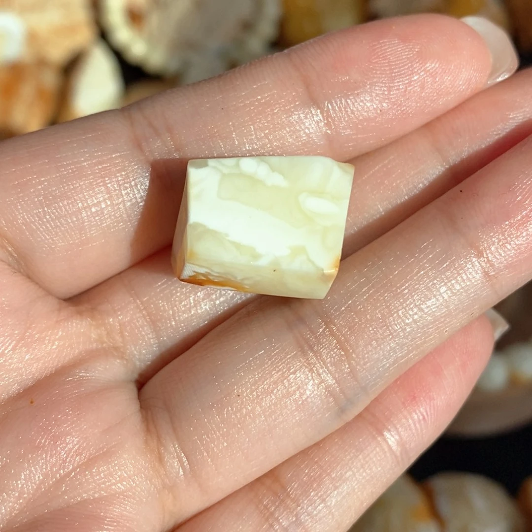 定制琥珀未镶嵌鱼***猫蜜蜡