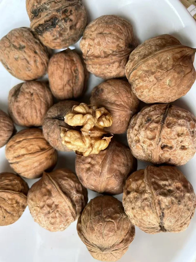 空山核桃自然生长