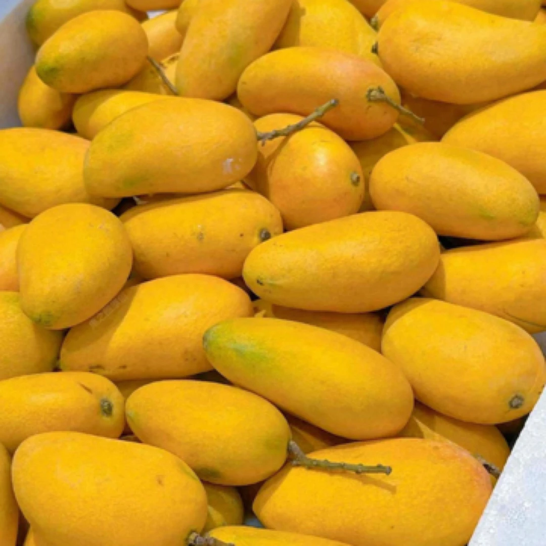 本地熟芒果山年芒果一斤