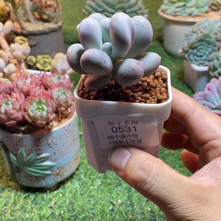 0531啊啊啊啊啊啊啊啊啊啊啊啊