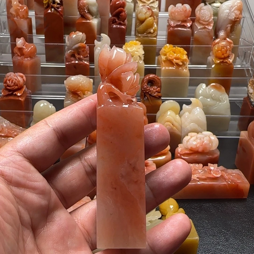 老挝石玉兰    2.2×9.6