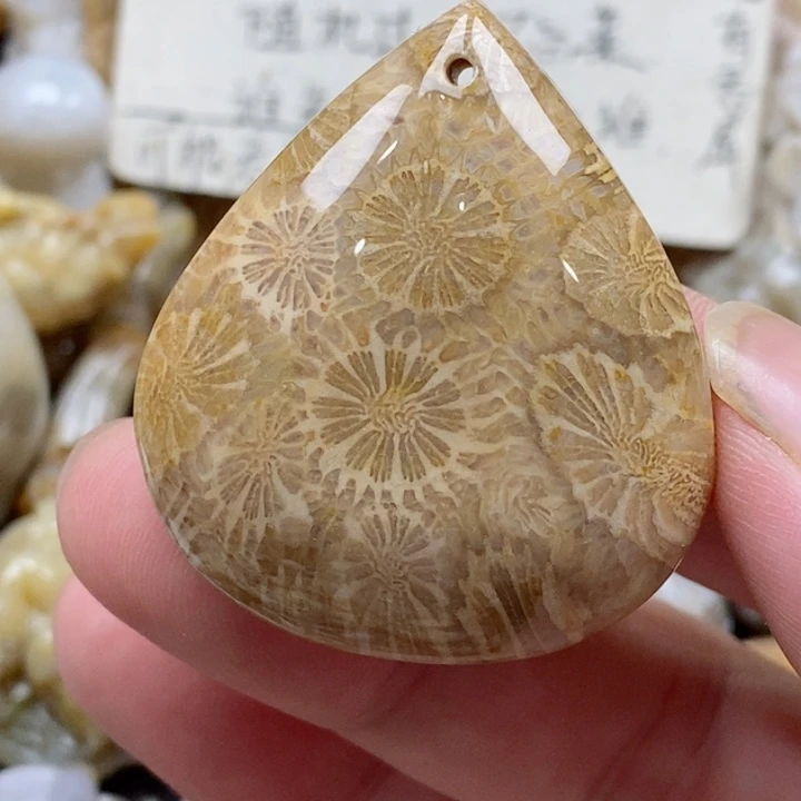 颈饰未镶嵌硅化珊瑚（珊瑚玉）