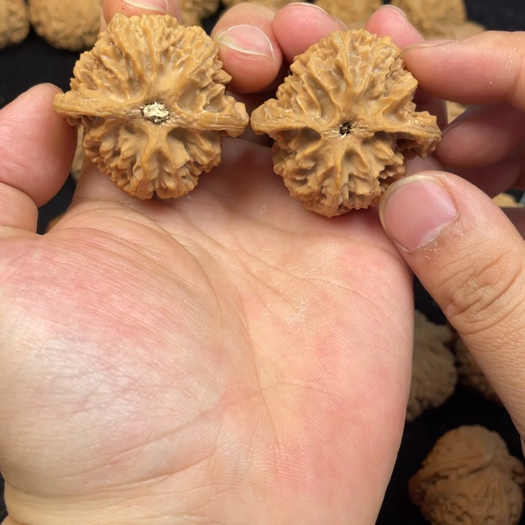 文玩核桃把件40苹果