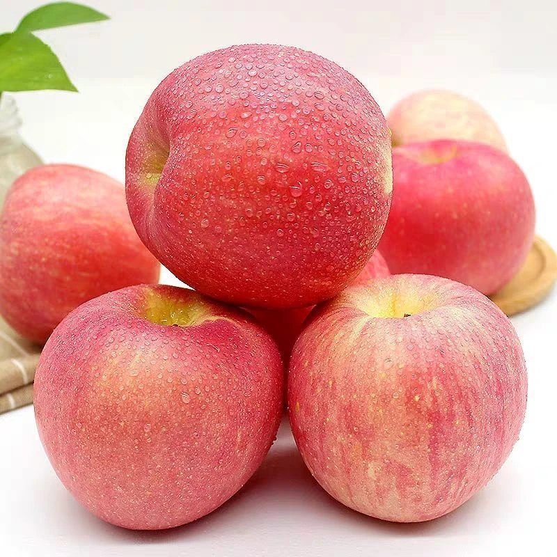 正宗红富士苹果脆甜多汁产地直发当季应季水果
