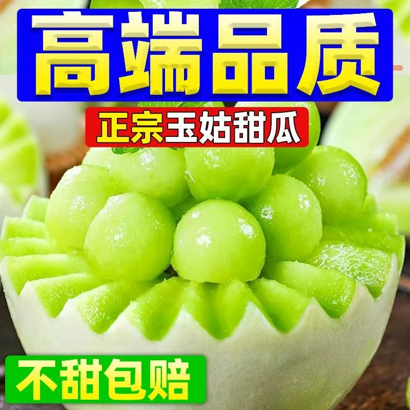 【海南正宗玉菇甜瓜】应季新鲜海南冰淇淋爆甜多汁玉菇甜瓜孕妇水果