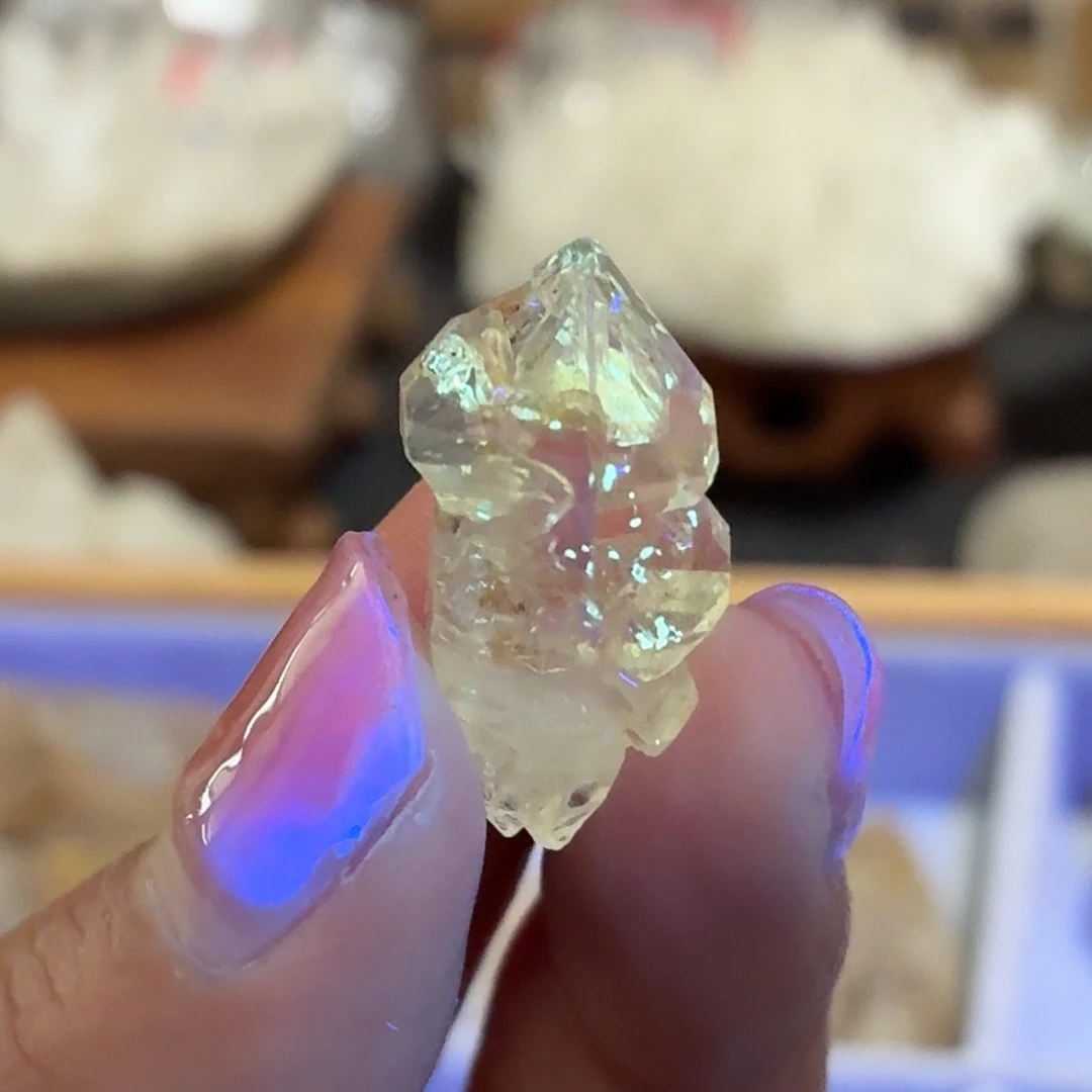 有机玻璃油胆骸骨