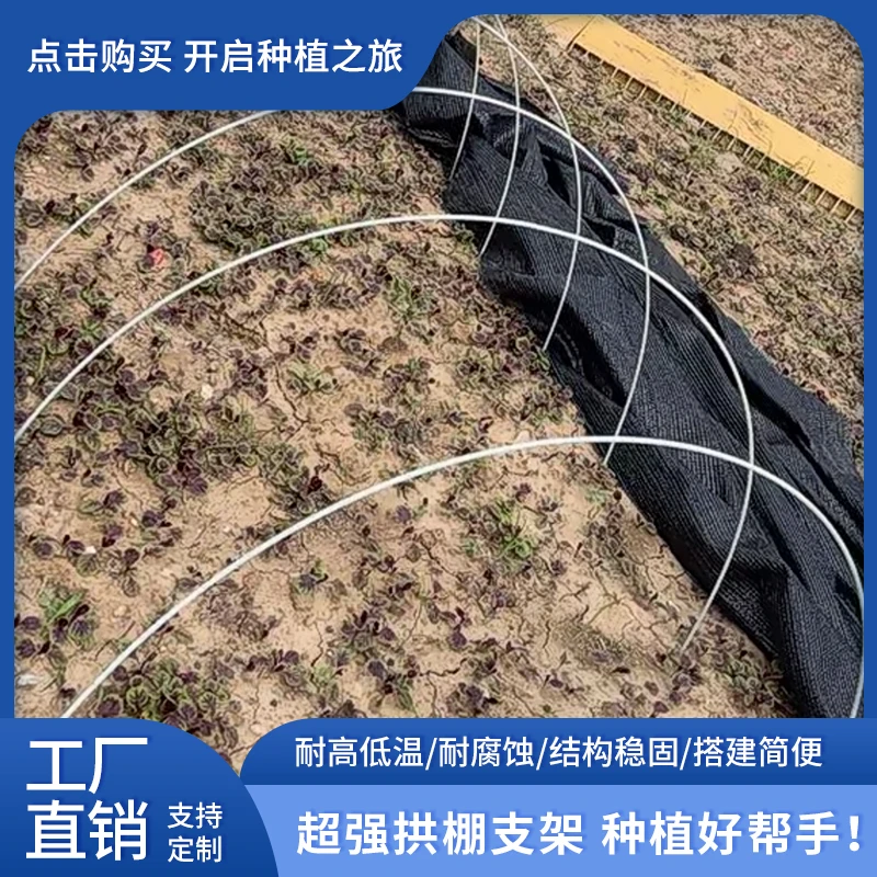 玻璃纤维杆拱棚支架育苗棚防虫棚种菜室外搭棚爬藤杆支撑架遮阳