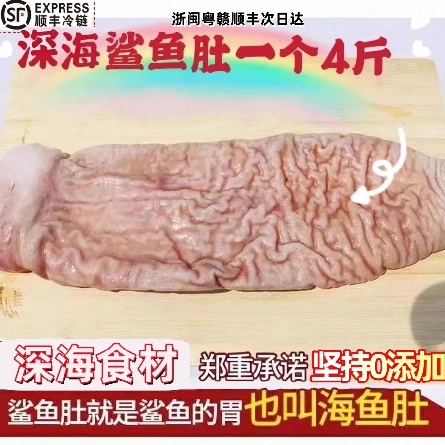 深海鲨鱼肚海八珍海鱼肚花胶鱼胶珍稀鱼肚名贵海鲜净重2斤顺丰