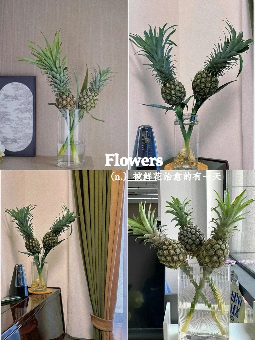 小菠萝【一单中通任意两单升级顺丰或邮政空运　20％不售后　】