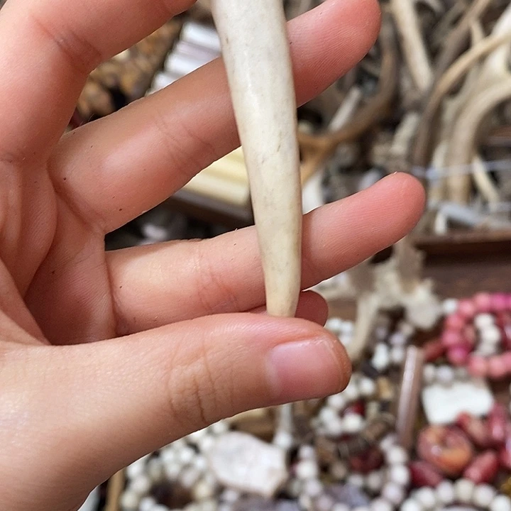 无非金属鹿角鹿角