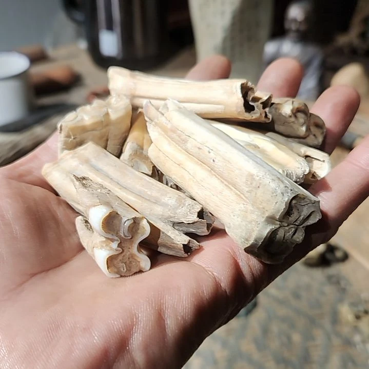 观***人大叶紫檀（黑酸枝木类）