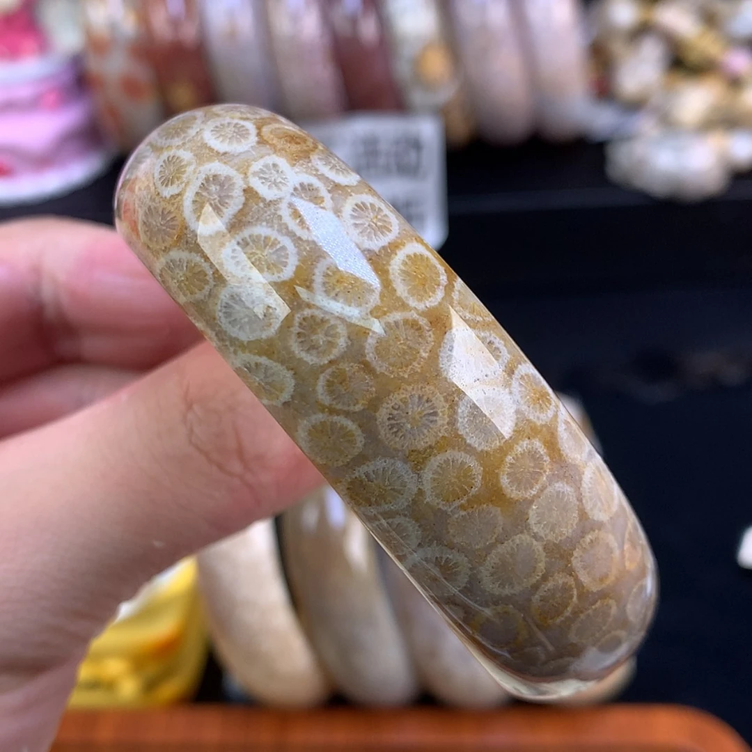 【闪购商品】颈饰未镶嵌硅化珊瑚（珊瑚玉）46号55.6圈柠檬片