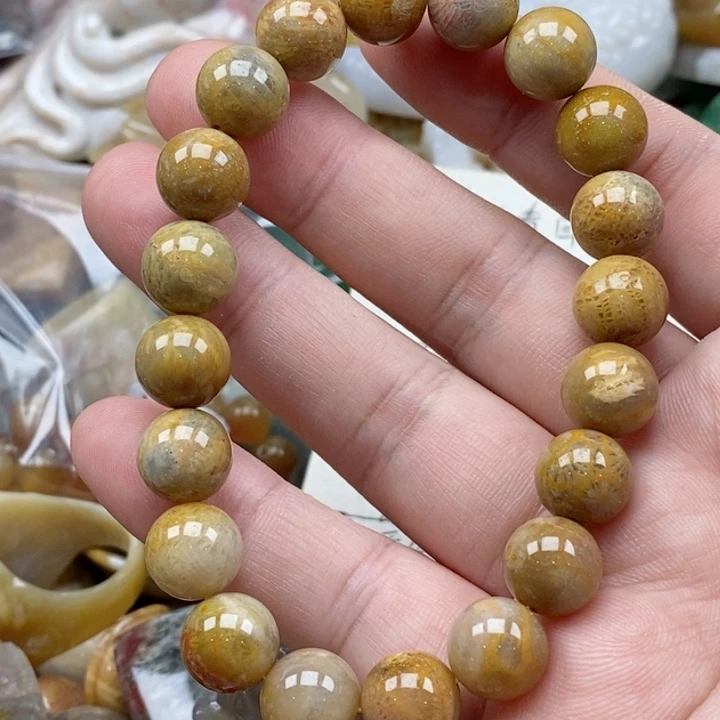 硅化珊瑚（珊瑚玉）未镶嵌颈饰