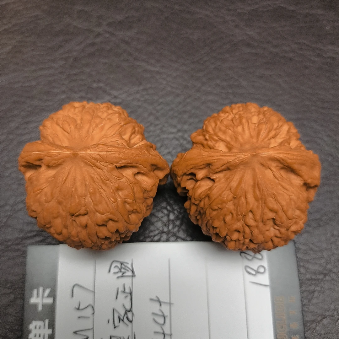 【文玩核桃】皇家正圆44+（M157）