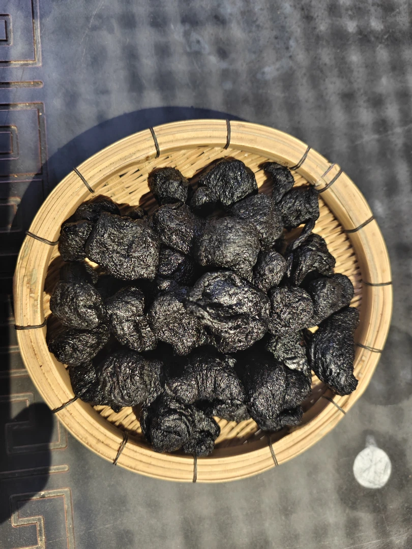 [同源南滇]熟地黄