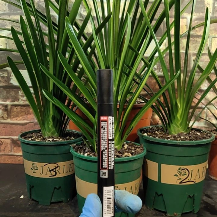 完全开放1111111111111