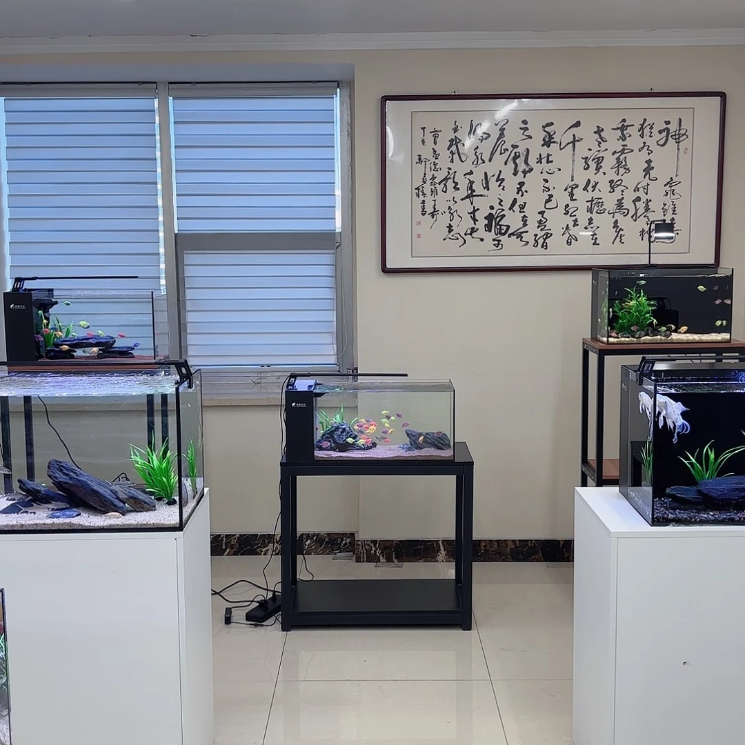 玻璃703030全套带造景