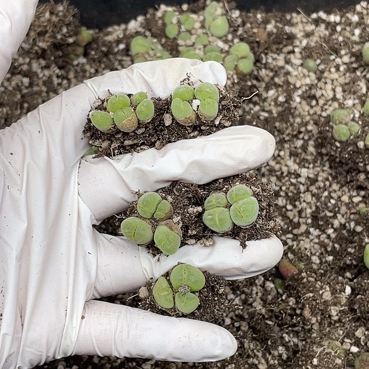 511天空下着小雨我已经