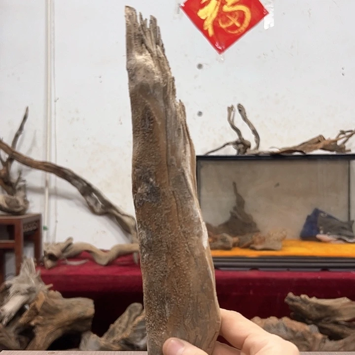 柏木C*S我们都是好孩子呀我要做的