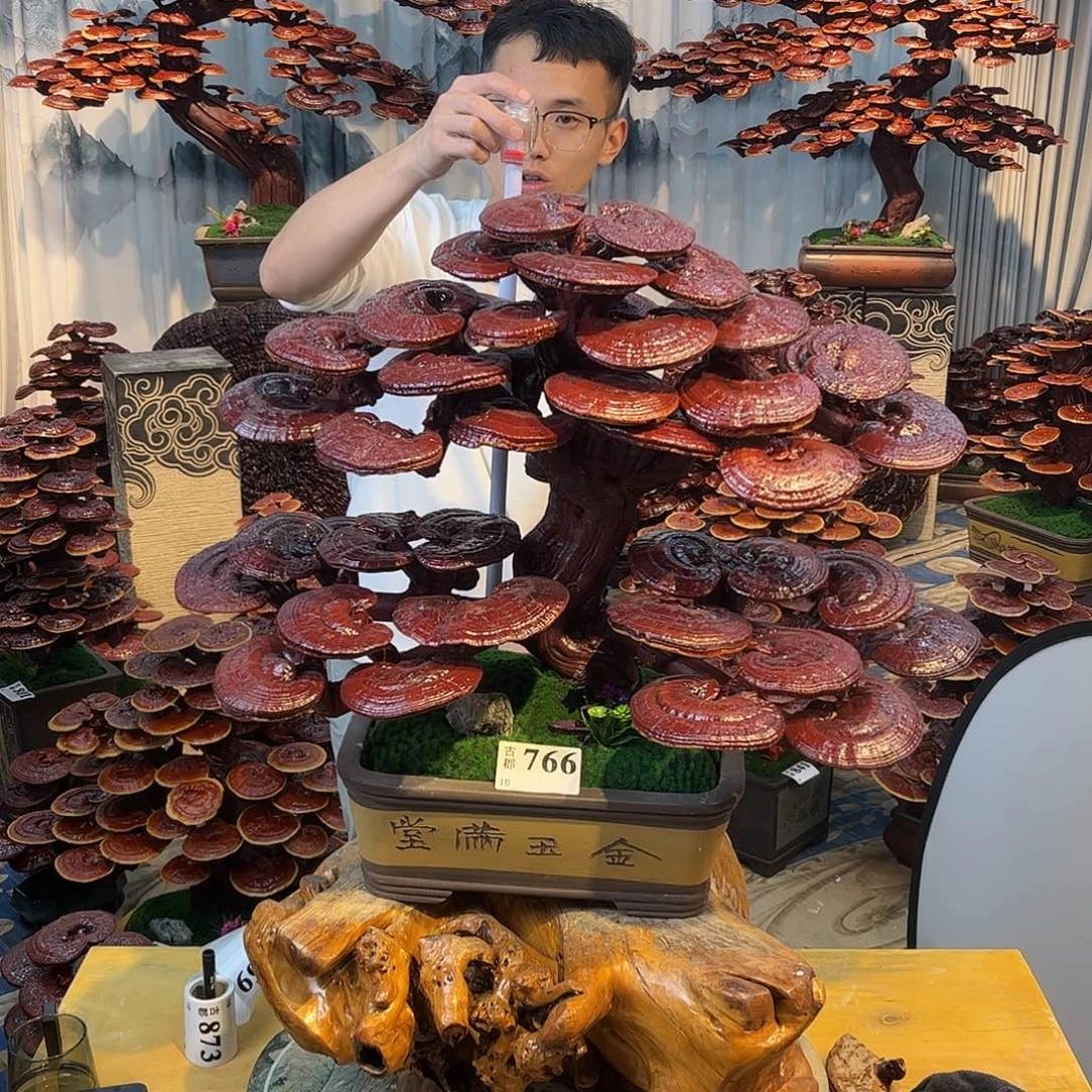 无花朵888888888888