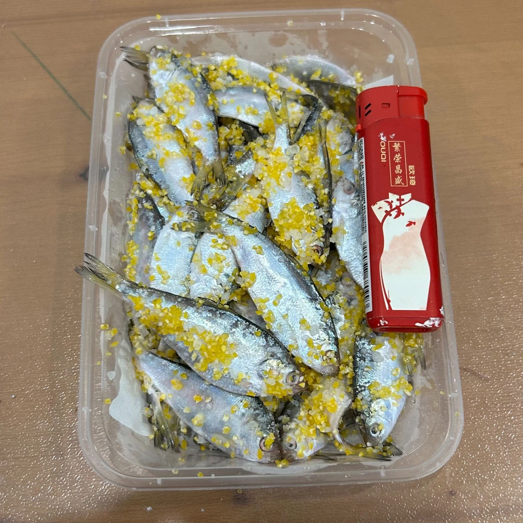 【麦创优选】天然鲅鱼饵令吉鱼青皮鱼气泡鱼白票子矶钓鲅鱼腌制饵