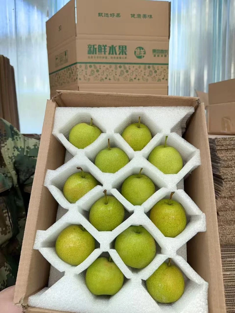 包邮辽宁鞍山特产正宗英不落南果梨精品新鲜水果多汁皮薄现摘现发