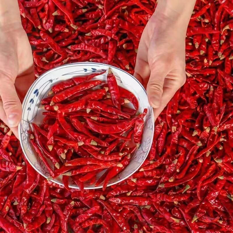 买半斤送半斤当季新货巨辣干辣椒魔鬼椒特香特辣香辣