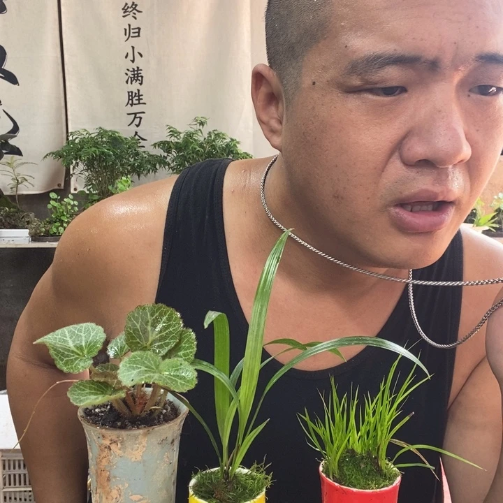 无花朵退款拉黑拉黑23