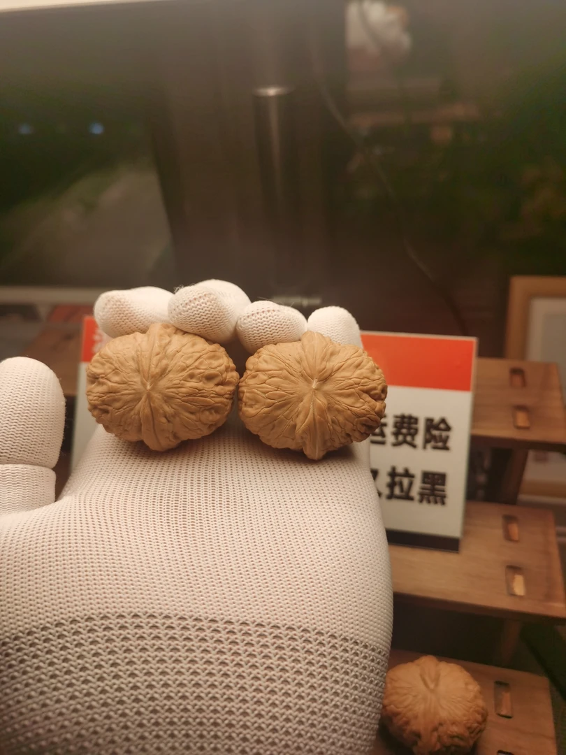麻核桃46尺寸元宝