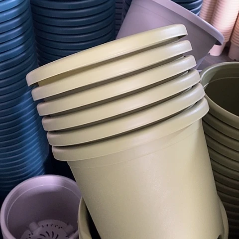 树脂特价5号6个无托果绿