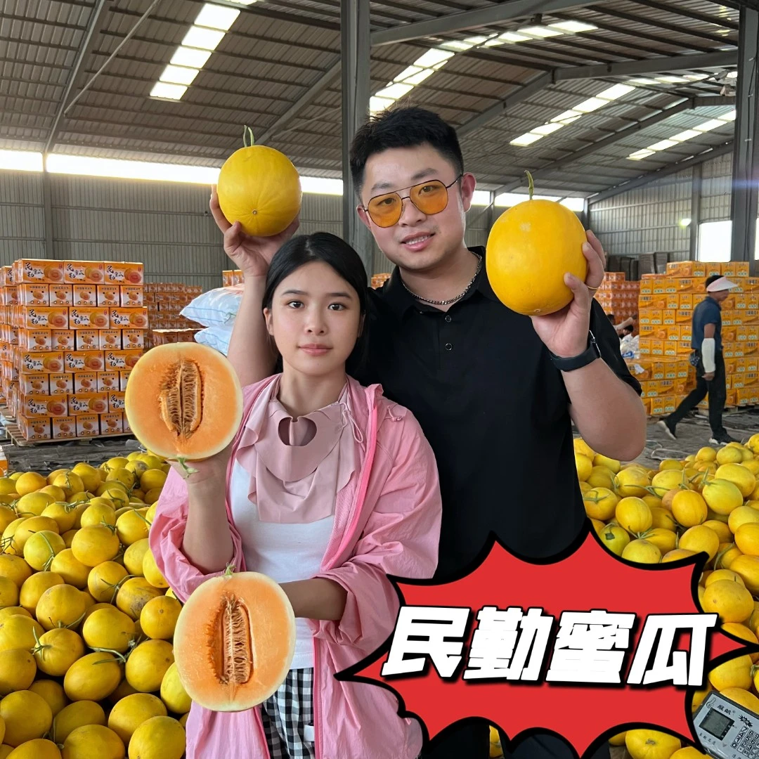 【欢宝专属】甘肃民勤沙漠蜜瓜甜瓜当季水果多汁产地现摘现发包邮