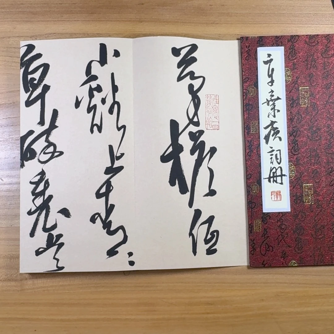书法中书协老师书法