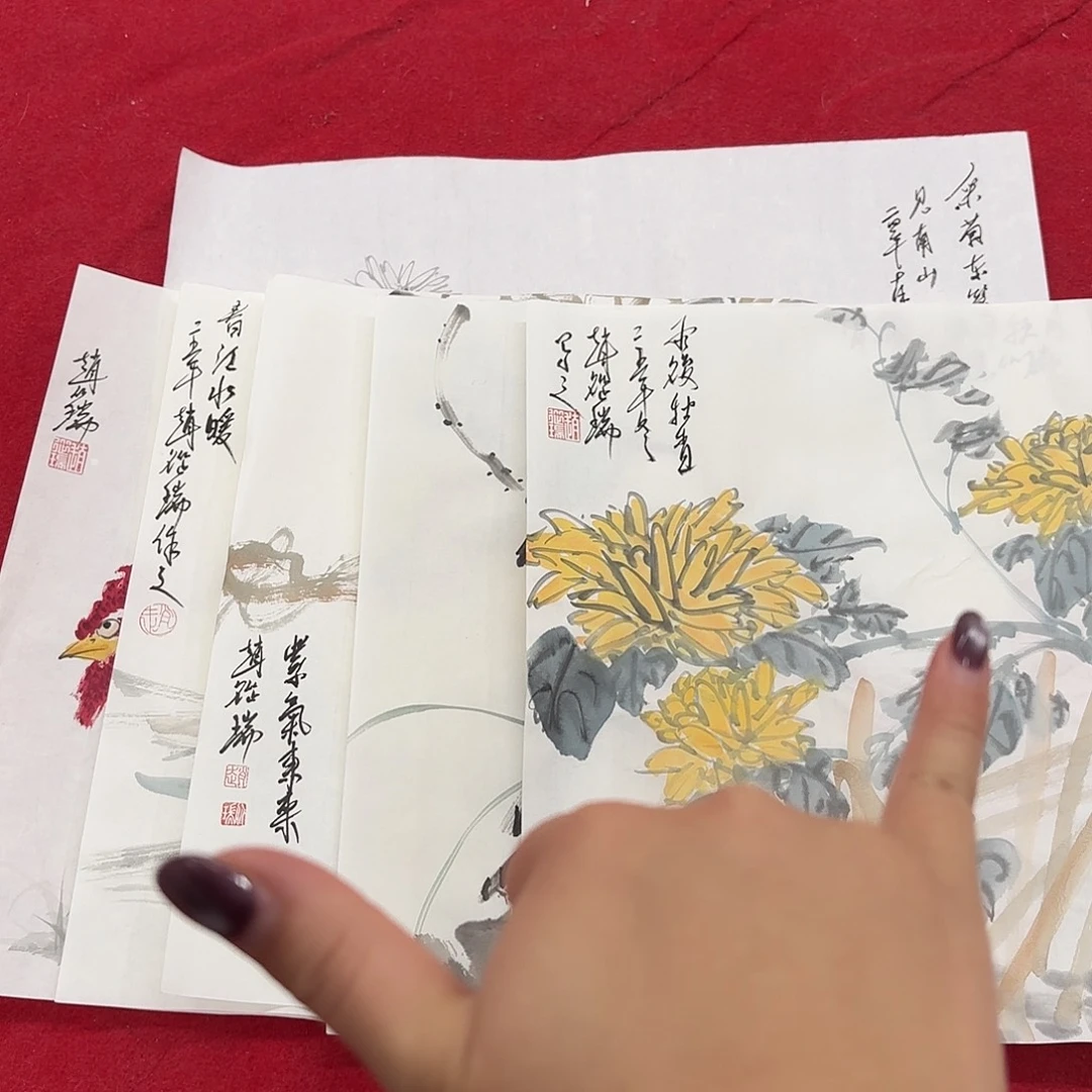 r***y国画花鸟的翅膀是一种很