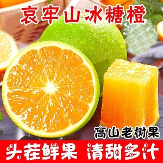 云南哀牢山冰糖橙子青皮水果新鲜应当季清甜多汁现摘现发皮薄肉厚
