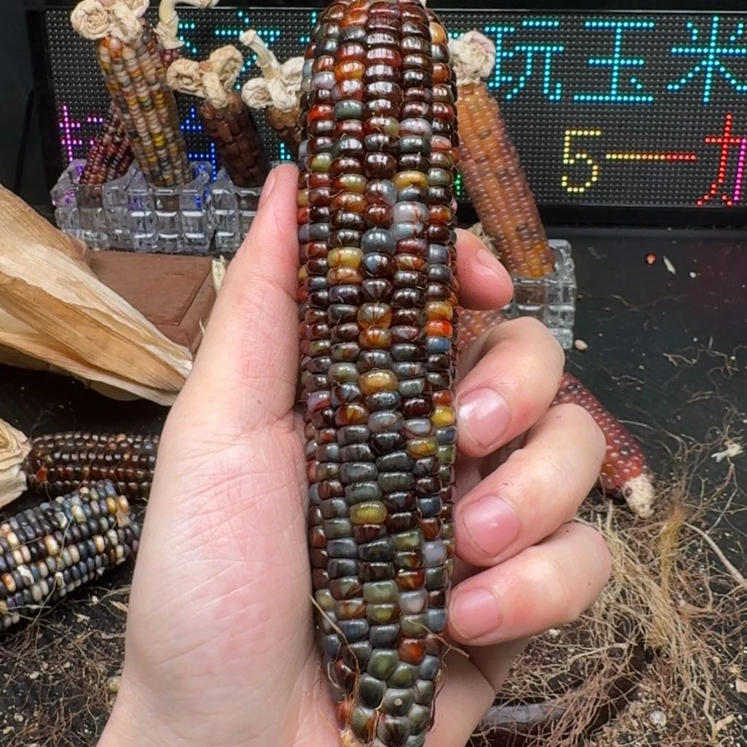 柏香籽/百香籽吊坠岐**-