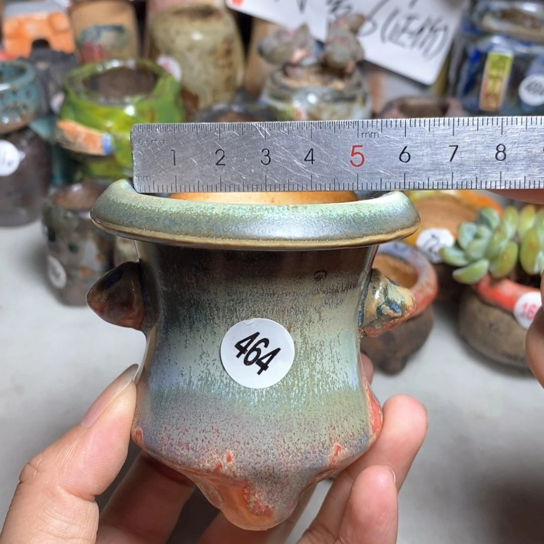 拍5送一个小礼物