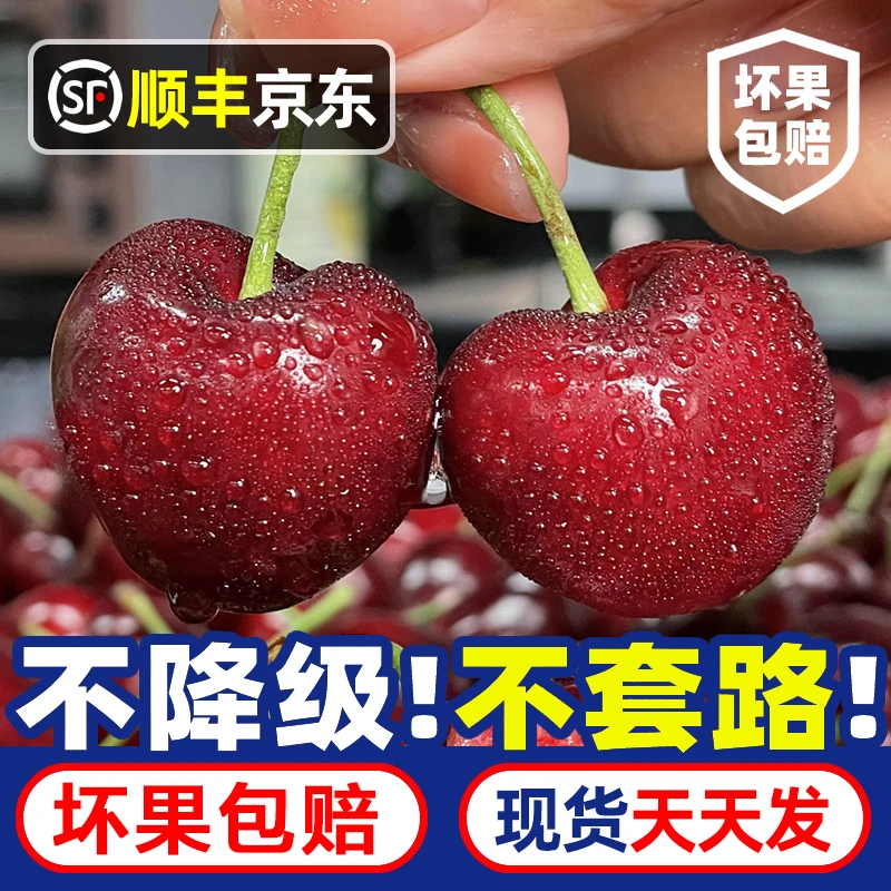 精选大果【5斤原箱】智利进口车厘子LM1海运J-4J净重5斤 内附果径卡