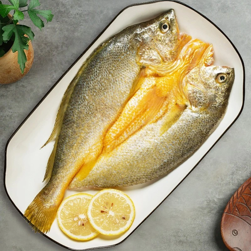 颜海渔市(400g*5条)新鲜宁德特产黄鱼鲞黄花鱼深海大黄鱼免杀免洗